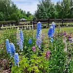 Przystan Vakantiehuis