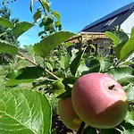 Vakantiehuis Przystan Jeziorowskie