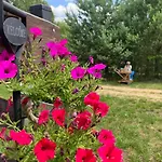 Przystan * Jeziorowskie