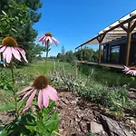 Przystan Vakantiehuis *