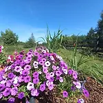 Przystan * Jeziorowskie