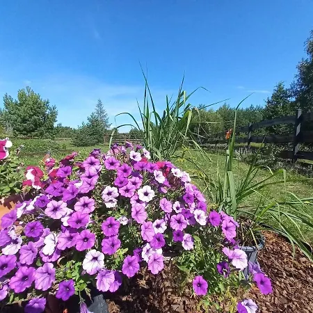 Przystan * Jeziorowskie