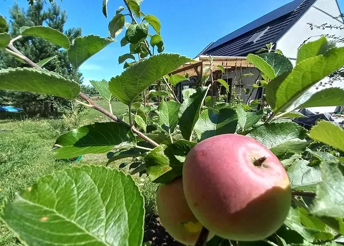 Holiday home Przystan Jeziorowskie