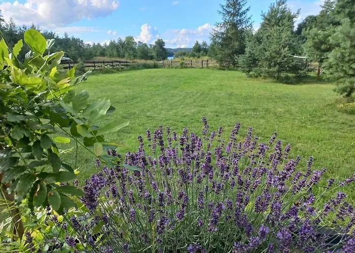 Przystan Jeziorowskie