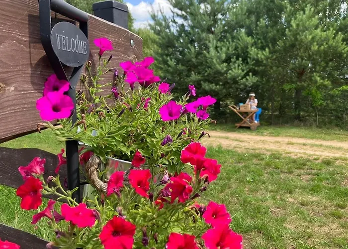 Przystan * Jeziorowskie