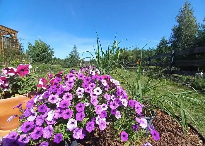 Przystan * Jeziorowskie